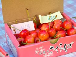 ピュアフルーツ 内田屋 塩山3