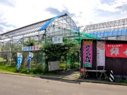 フルーツ農園 緑秀