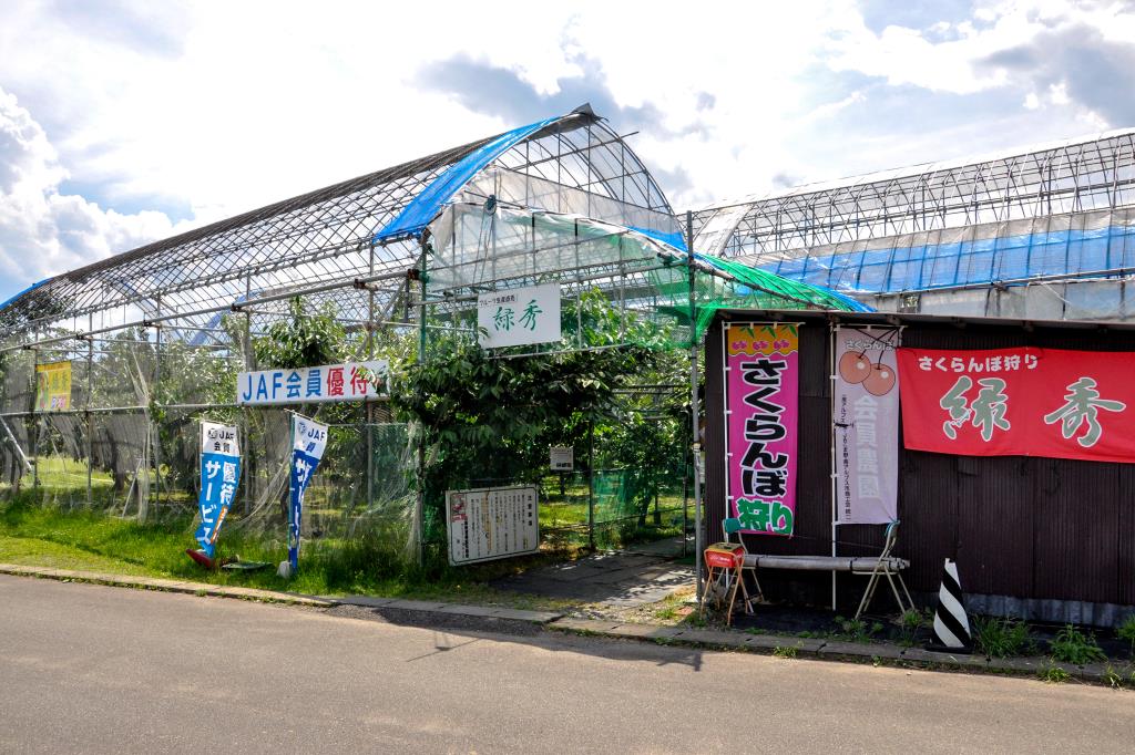 フルーツ農園 緑秀