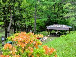 白鳳荘・さわら池キャンプ場