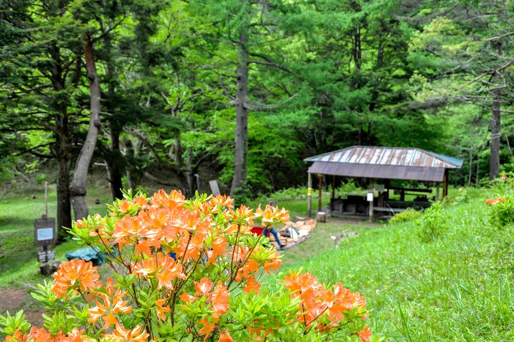 白鳳荘・さわら池キャンプ場 韮崎3