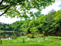 白鳳荘・さわら池キャンプ場 韮崎2