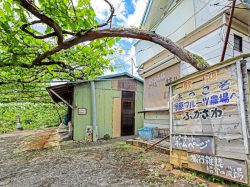 塚原山フルーツ農場ふかさわ