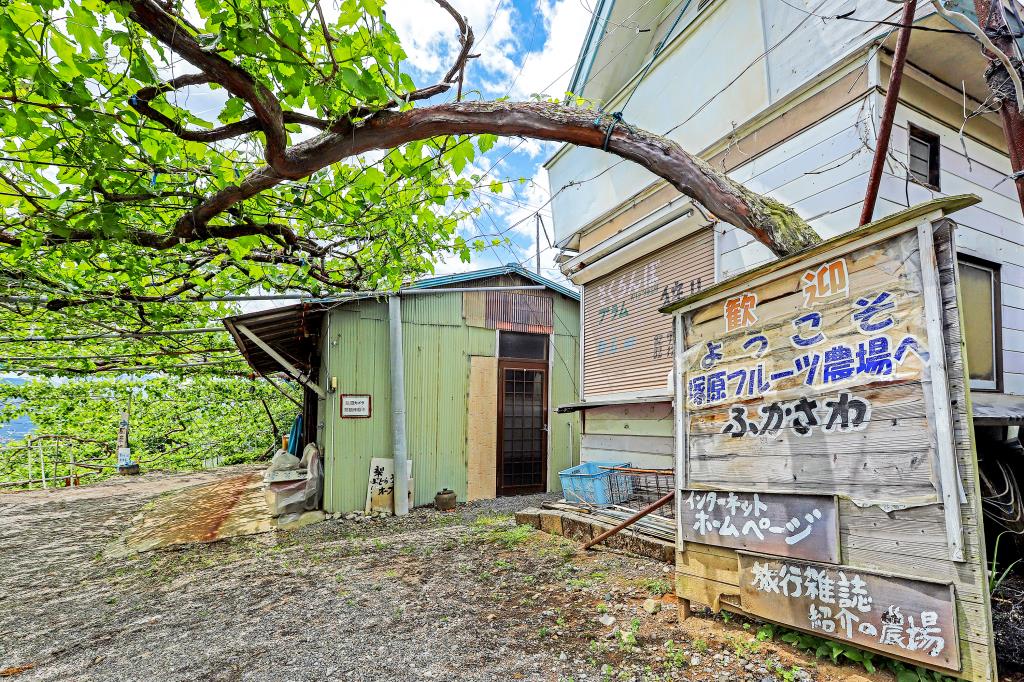塚原山フルーツ農場 ふかさわ