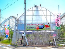 米山しげのぶ農園