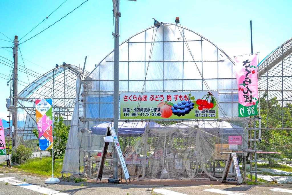 米山しげのぶ農園 南アルプス市 フルーツ狩り