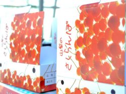 米山しげのぶ農園 南アルプス市 フルーツ狩り