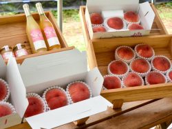 やまなし内藤農園 PESCA SHOP 山梨市 カフェ
