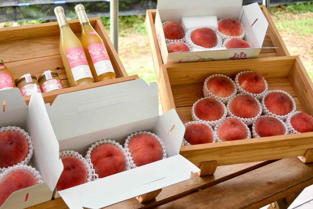 やまなし内藤農園 PESCA SHOP 山梨市 カフェ