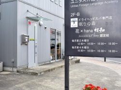 眠りの森