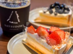 [ Chateraise PREMIUM ] YATSUDOKI TERRACE 石和