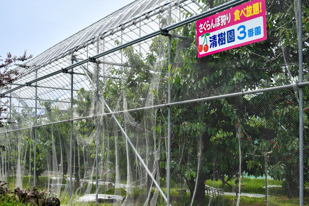 清樹園 南アルプス6