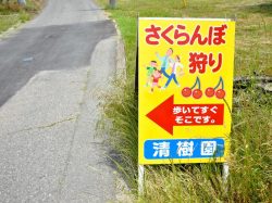 清樹園 南アルプス2