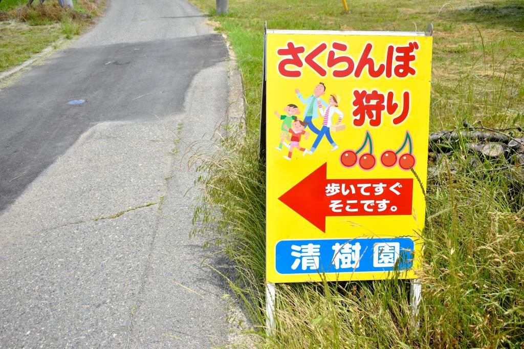 清樹園 南アルプス2