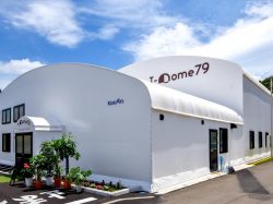 T-Dome79