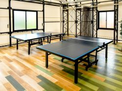 T-Dome79 バッティングセンター3
