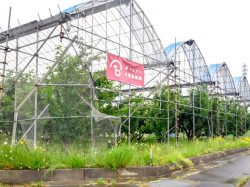 手塚果樹園