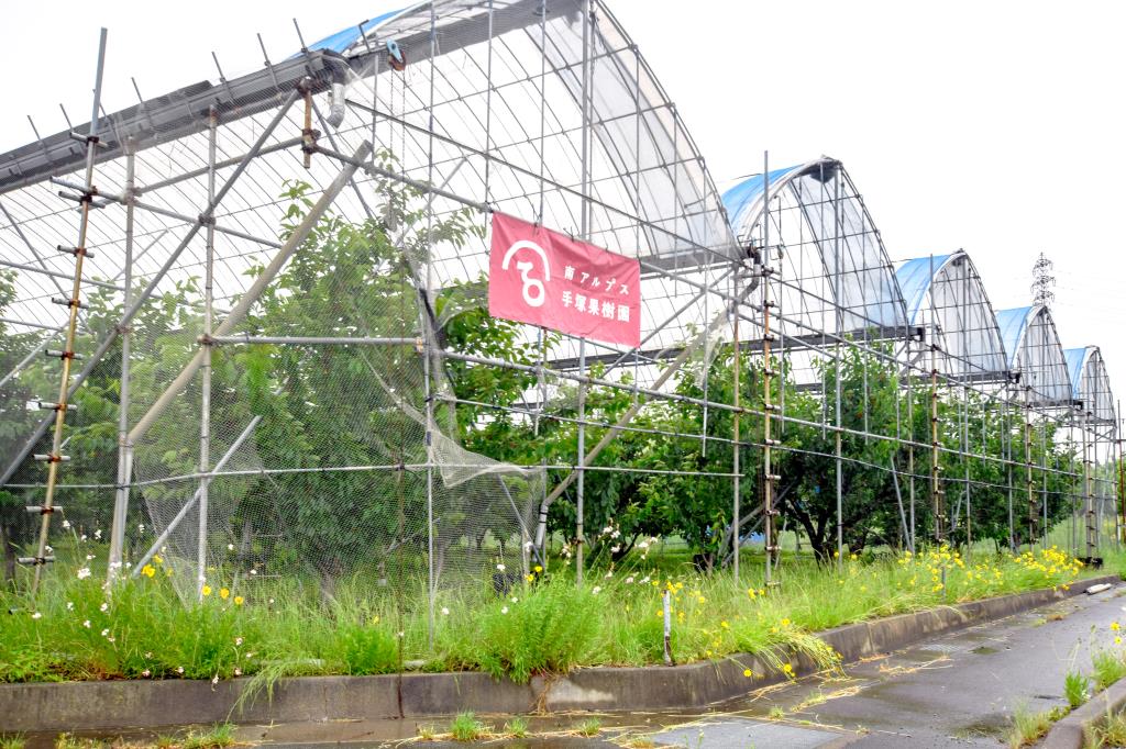 手塚果樹園 南アルプス市 4