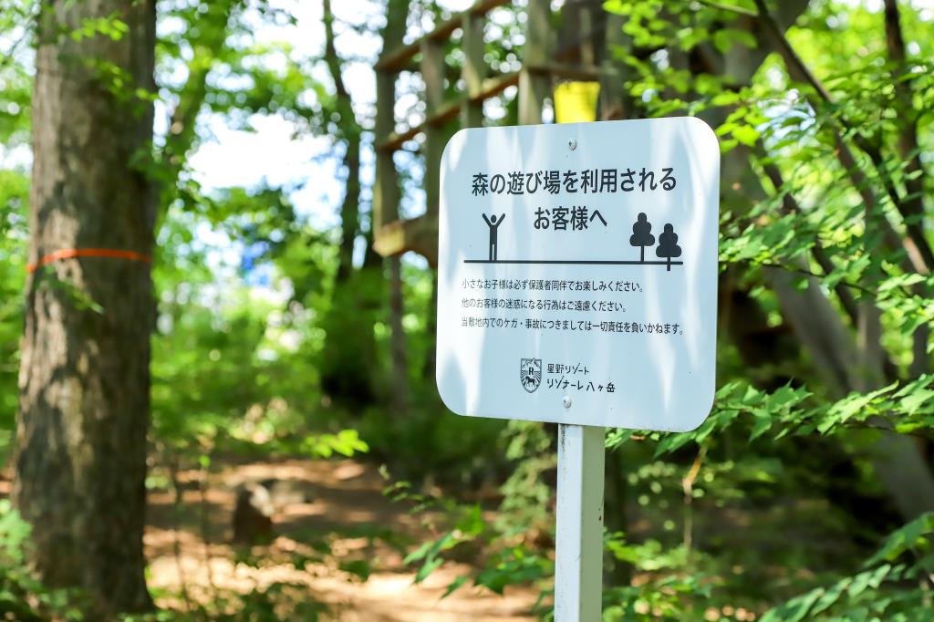 リゾナーレ八ヶ岳 森のクライミングウォール登場