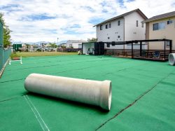 DOG Island 昭和町 ペット