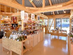 富島屋 忍野 カフェ3