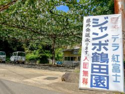 ジャンボ鶴田園