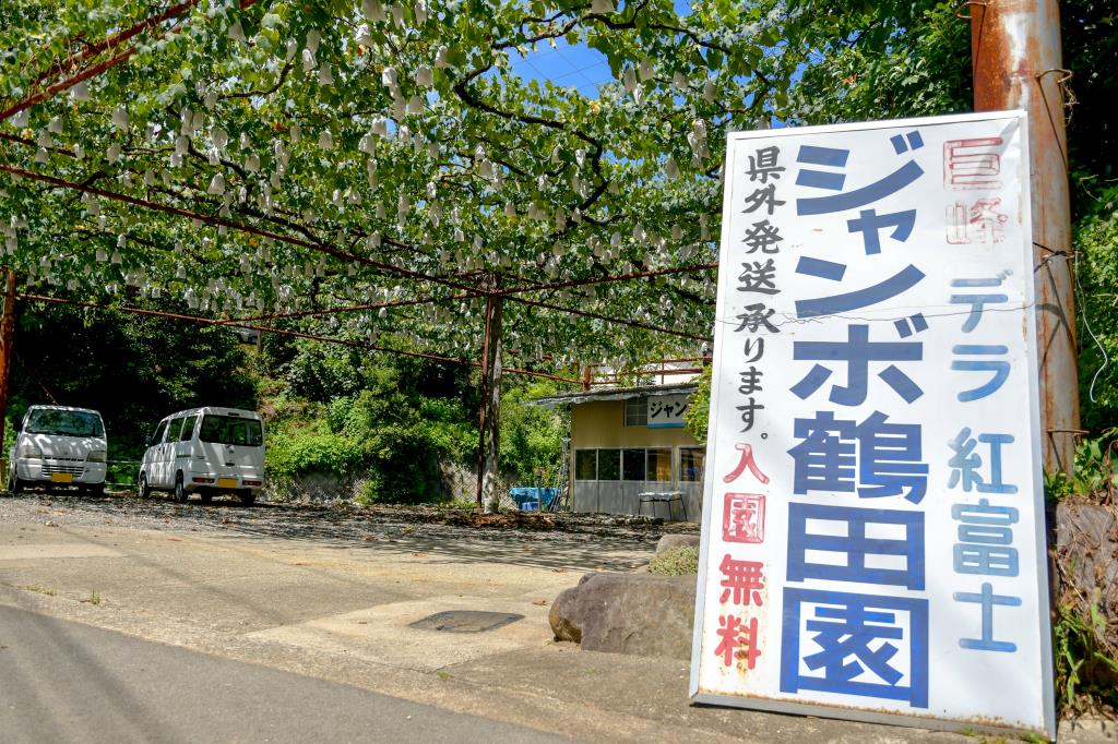 ジャンボ鶴田園 山梨市5