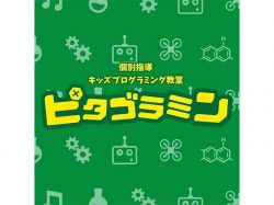 ピタゴラミン甲府駅前校