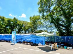 夏冬めだか屋 はるあき
