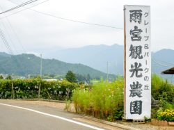 雨宮観光農園