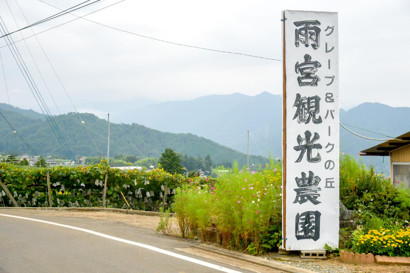 雨宮観光農園 山梨市1