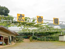 広楽園