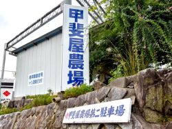 甲斐屋農場