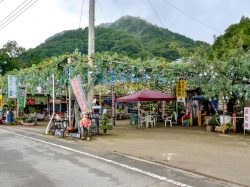 高原フルーツ農園