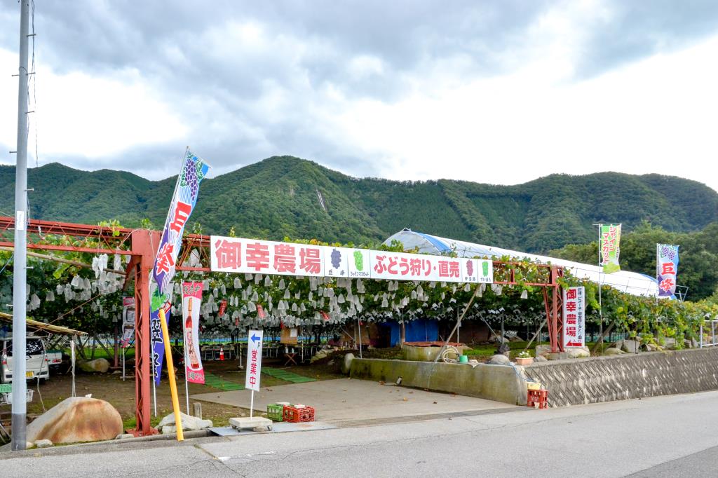 御幸農場 山梨市 農園・フルーツ狩り2