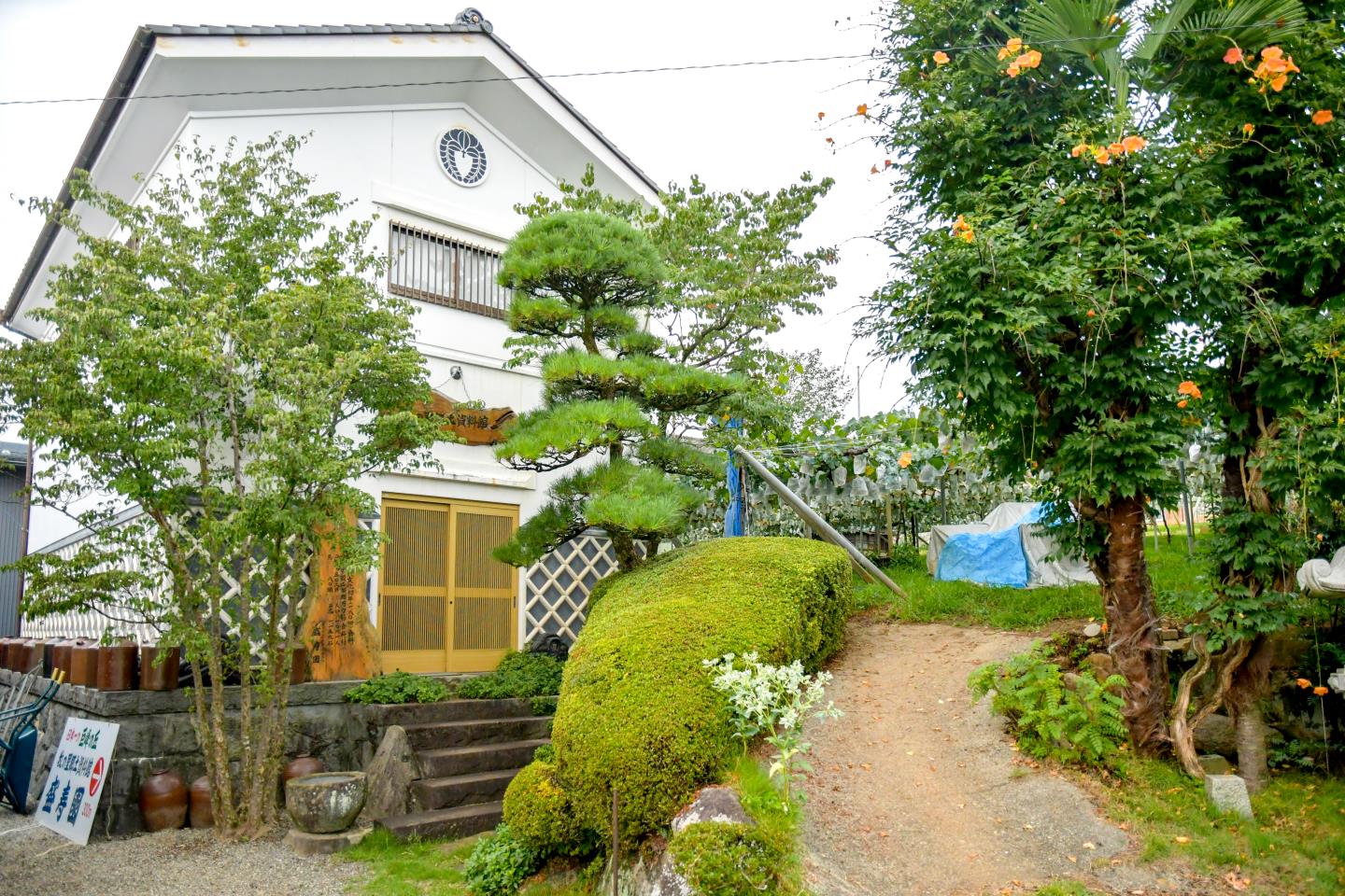 巨峰の丘 盛寿園 山梨市3