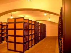 蒼龍葡萄酒株式会社（SORYU WINERY) 勝沼 ワイナリー1