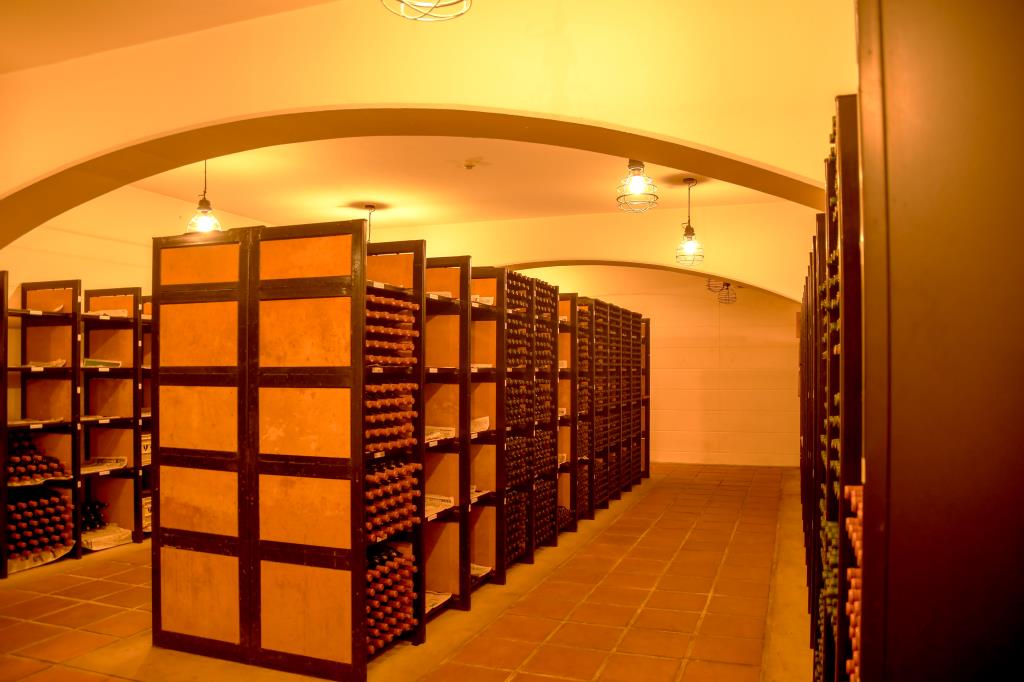 蒼龍葡萄酒株式会社（SORYU WINERY) 勝沼 ワイナリー1