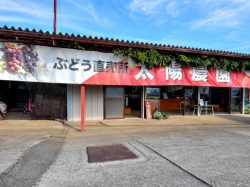 太陽農園