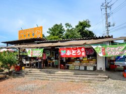山田農園 フルーツファーム