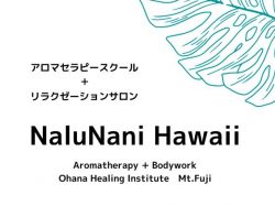 NaluNani Hawaii