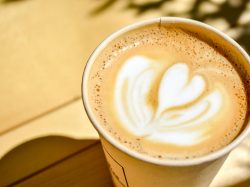 pito aune coffee 南アルプス2