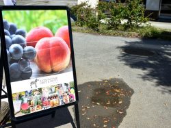 YATSUGATAKE CREPE&FRUITS by Chez uma4