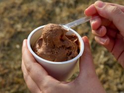 Gelato & Softcream stand “io”2