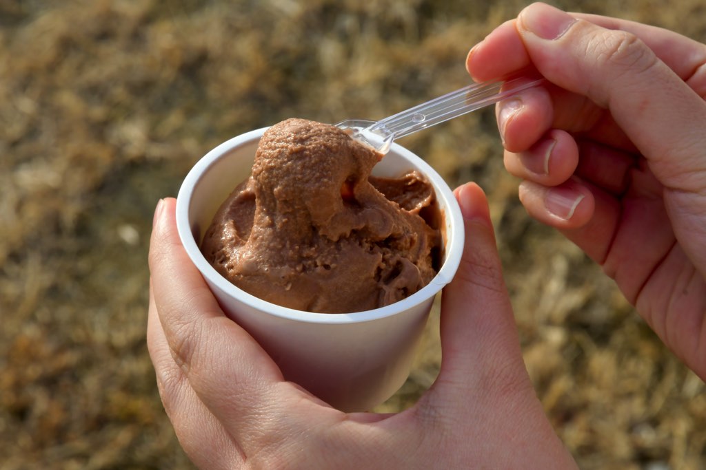 Gelato & Softcream stand “io”2