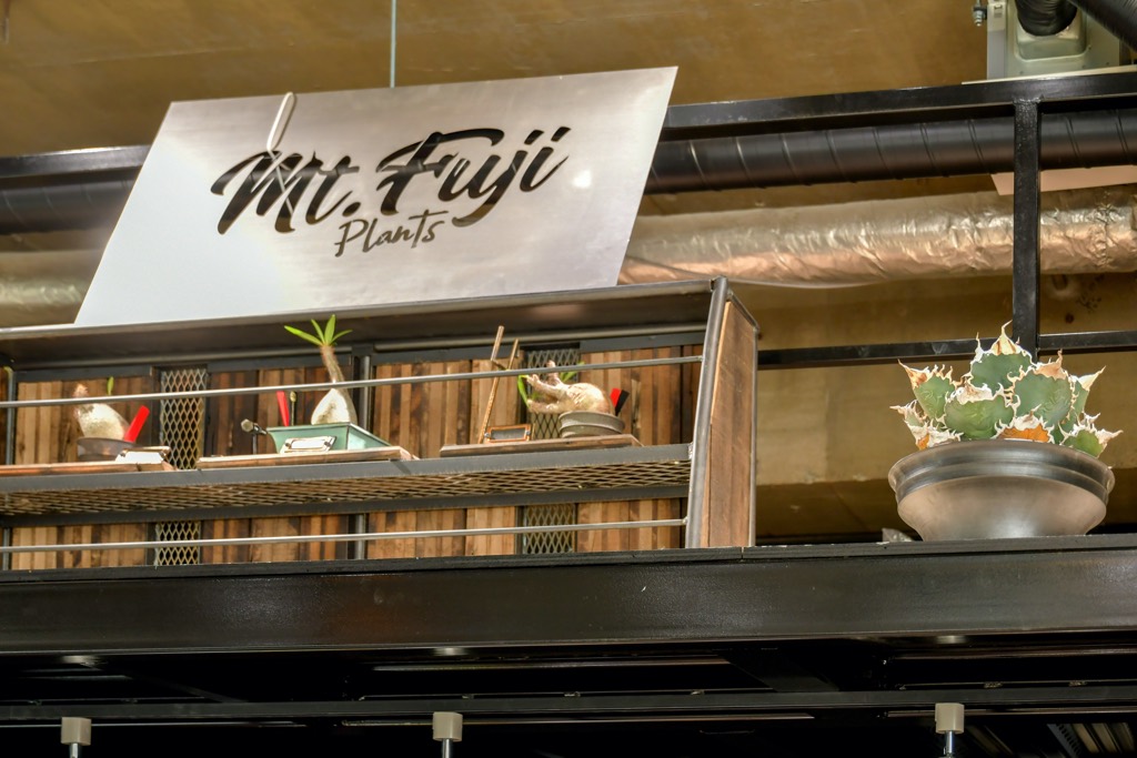 Mt.Fuji Plants（マウントフジプランツ）