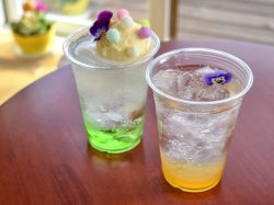 茶房 迦桜羅【休業中】