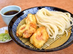 本格手打ち讃岐うどん ふうが