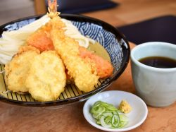 本格手打ち讃岐うどん ふうが2