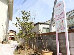 小さな小さなお菓子のいえ SweetLovely4